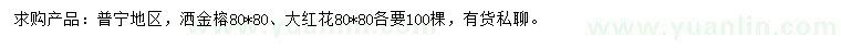 求购80*80公分洒金榕、大红花