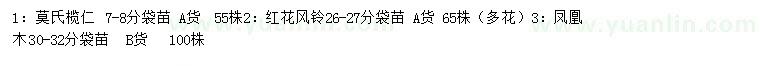 求购莫氏榄仁、红花风铃、凤凰木