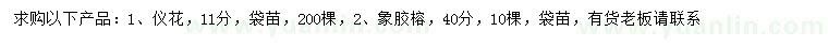 求购11公分仪花、40公分象胶榕