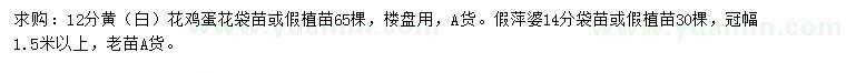 求购12公分黄（白）花鸡蛋花、14公分假萍婆