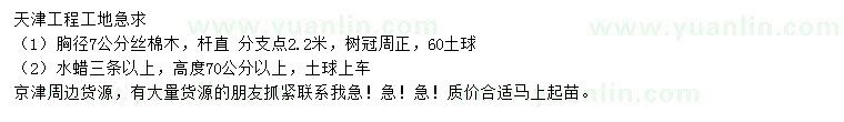 求购胸径7公分丝棉木、高70公分以上水蜡