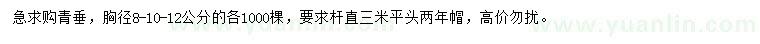 求购胸径8、10、12公分青垂