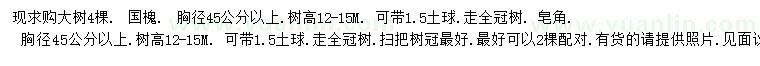 求购胸径45公分以上国槐、皂角