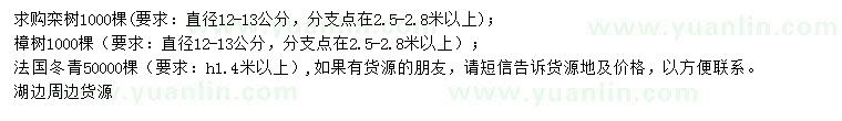 求购栾树、樟树、法国冬青