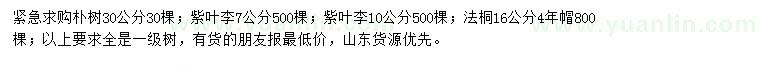 求购朴树、紫叶李、法桐