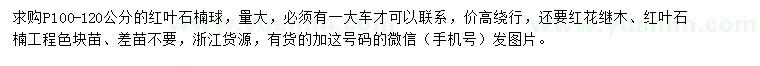 求购红叶石楠球、红花继木、红叶石楠