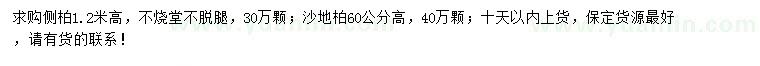 求购高1.2米侧柏、高60公分沙地柏
