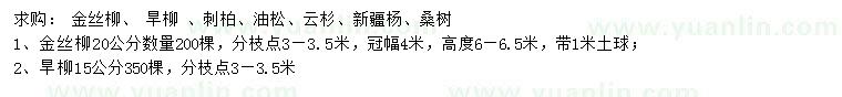 求购金丝柳、旱柳、刺柏等