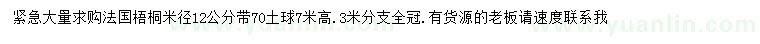 求购米径12公分法国梧桐