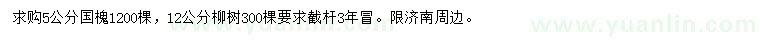 求购5公分国槐、12公分柳树