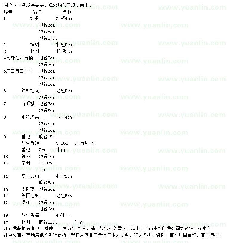 求购红枫、榉树、朴树等