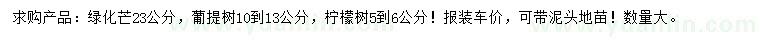 求购绿化芒、菩提树、柠檬树