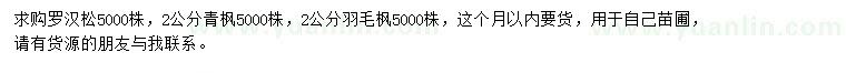 求购罗汉松、青枫、羽毛枫