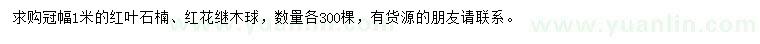 求购冠幅1米红叶石楠、红花继木球