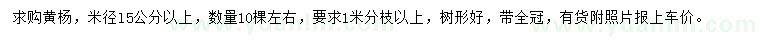 求购米径15公分以上黄杨