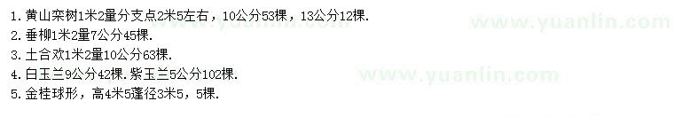 求购黄山栾树、垂柳、土合欢等