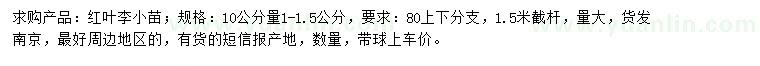 求购10公分量1-1.5公分红叶李小苗