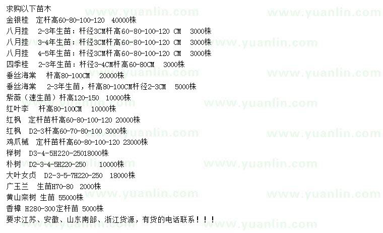 求购金银桂、八月桂、四季桂等