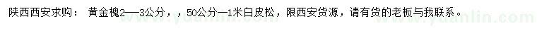 求购2-3公分黄金槐、50公分-1米白皮松