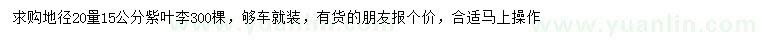 求购地径20量15公分紫叶李