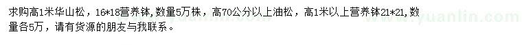 求购华山松、油松