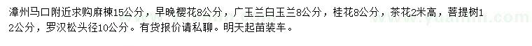 求购麻楝、樱花、广玉兰等