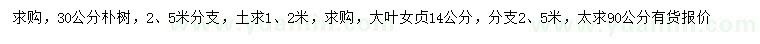 求购30公分朴树、14公分大叶女贞