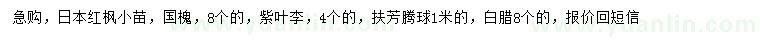 求购日本红枫小苗、国槐、紫叶李等