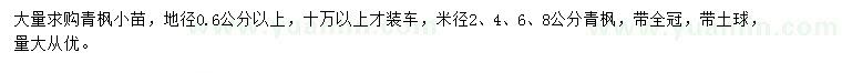 求购地径0.6公分以上青枫小苗、米径2、4、6、8公分青枫