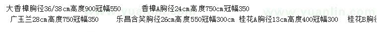 求购香樟、广玉兰、乐昌含笑等