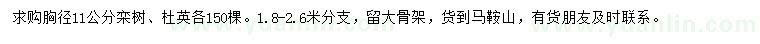 求购胸径11公分栾树、杜英