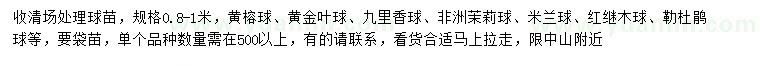 求购黄榕球、黄金叶球、九里香球等