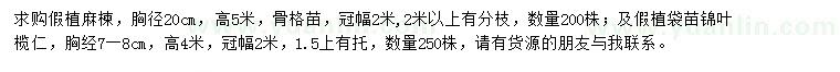 求购胸径20公分麻楝、胸径7-8公分锦叶榄仁