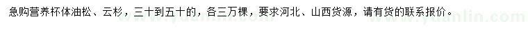 求购高30-50公分云杉、油松