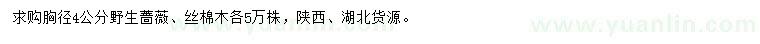 求购胸径4公分野生蔷薇、丝棉木