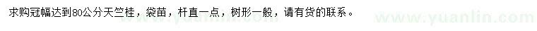 求购冠幅达到80公分天竺桂