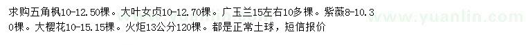 求购五角枫、大叶女贞、广玉兰等