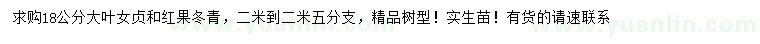 求购18公分大叶女贞、红果冬青