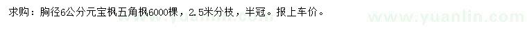 求购胸径6公分元宝枫、五角枫