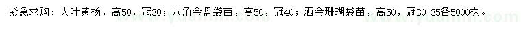 求购大叶黄杨、八角金盘、洒金珊瑚