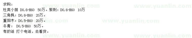 求购杜英小苗、三角枫小苗、重阳木小苗等