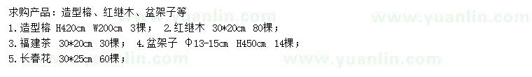 求购造型榕、红继木、福建茶等