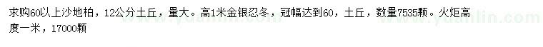 求购沙地柏、金银忍冬、火炬