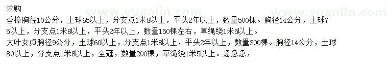 求购胸径10、14公分香樟、9、14公分大叶女贞