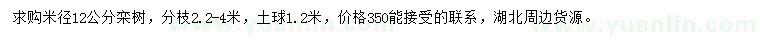 求购米径12公分栾树