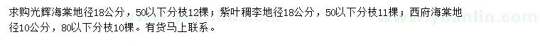 求购光辉海棠、紫叶稠李、西府海棠