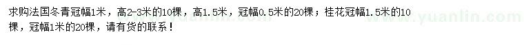 求购冠0.5、1米法国冬青、冠1、1.5米桂花