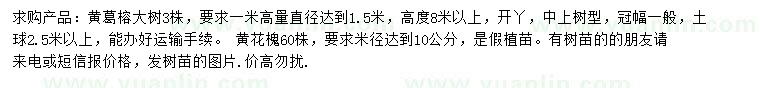 求购直径达到1.5米黄葛榕大树、米径达到10公分黄花槐