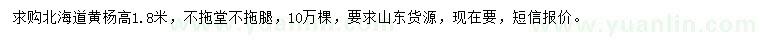 求购高1.8米北海道黄杨