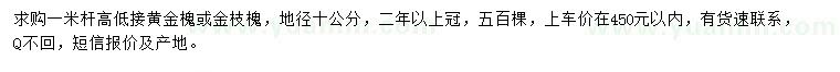 求购地径10公分黄金槐或金枝槐